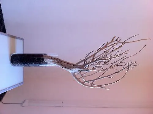 La Tela Bianca Отель типа 